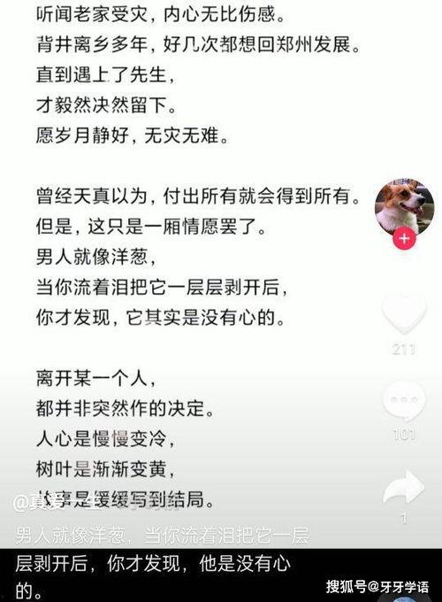 董小姐格子间最新爆料,揭秘职场风云背后的真实故事  第3张